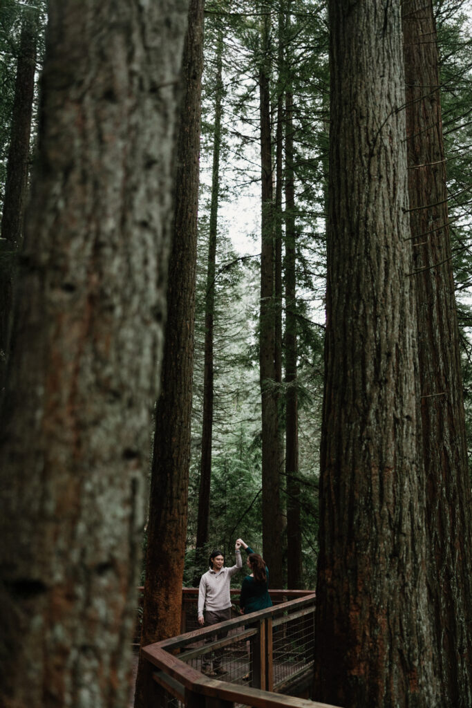 Rainy day engagement photos at Hoyt Arboretum in Portland Oregon